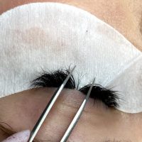 Wimpern